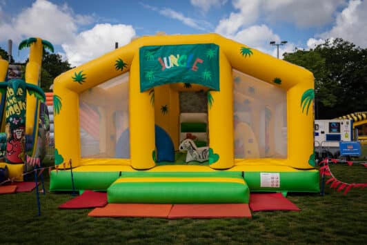Jungle Activity Bouncer