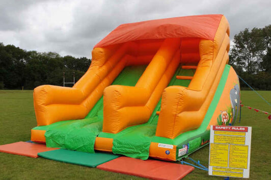 Jungle Mini Slide