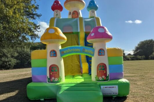 Mushroom Slide